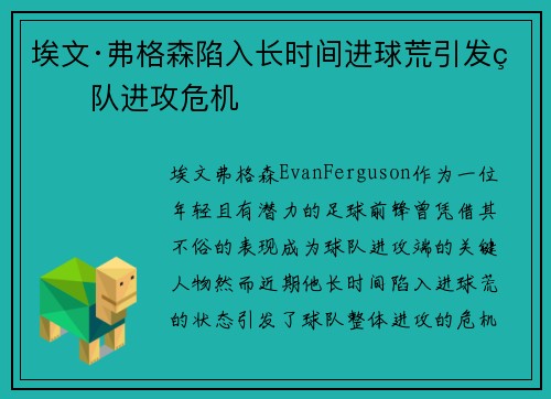 埃文·弗格森陷入长时间进球荒引发球队进攻危机 埃文·弗格森陷入长时间进球荒引发球队进攻危机